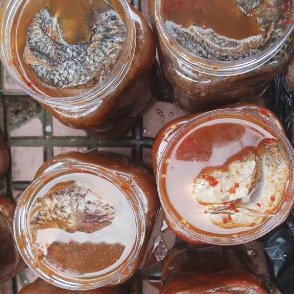 Mắm cá lóc đồng