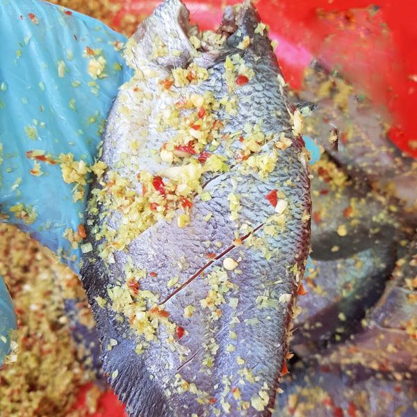 Cá sặc 1 nắng ướp sả ớt