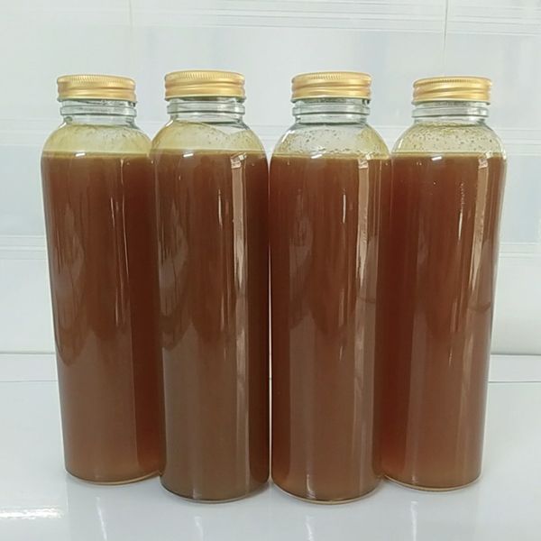 Mật ong ruồi thượng hạng