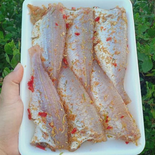 Khô cá đổng 1 nắng