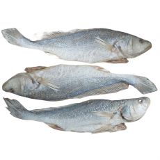 Khô cá sửu mặn