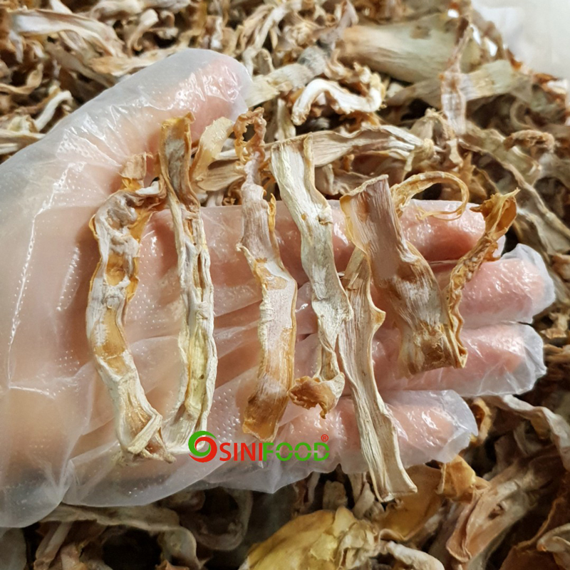 Măng rừng khô Tây Nguyên