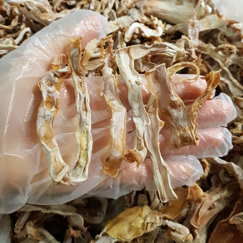 Măng rừng khô Tây Nguyên